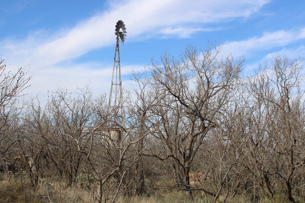 0000 Hwy 67 #427ACRES, Ballinger, Texas image 13