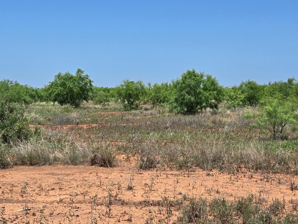 - Hwy 277n, Bronte, Texas image 4