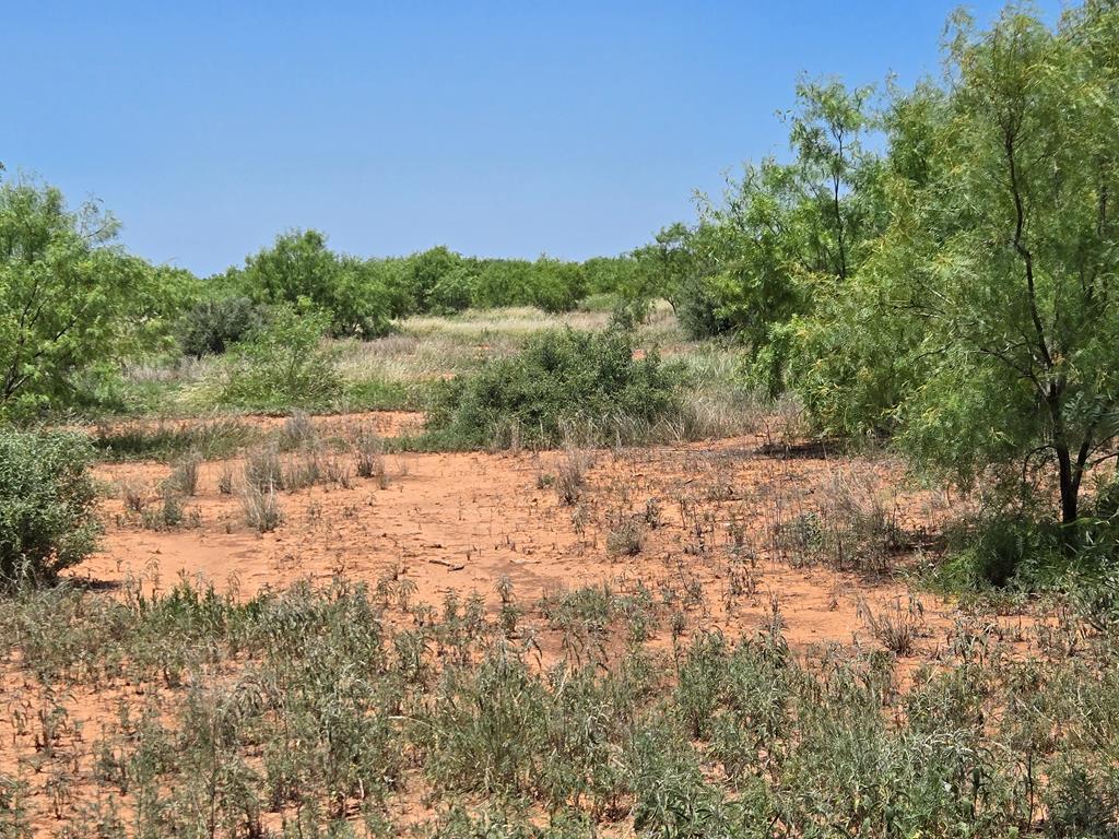 - Hwy 277n, Bronte, Texas image 3
