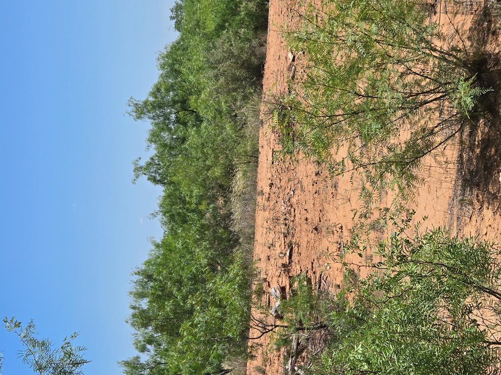 - Hwy 277n, Bronte, Texas image 5