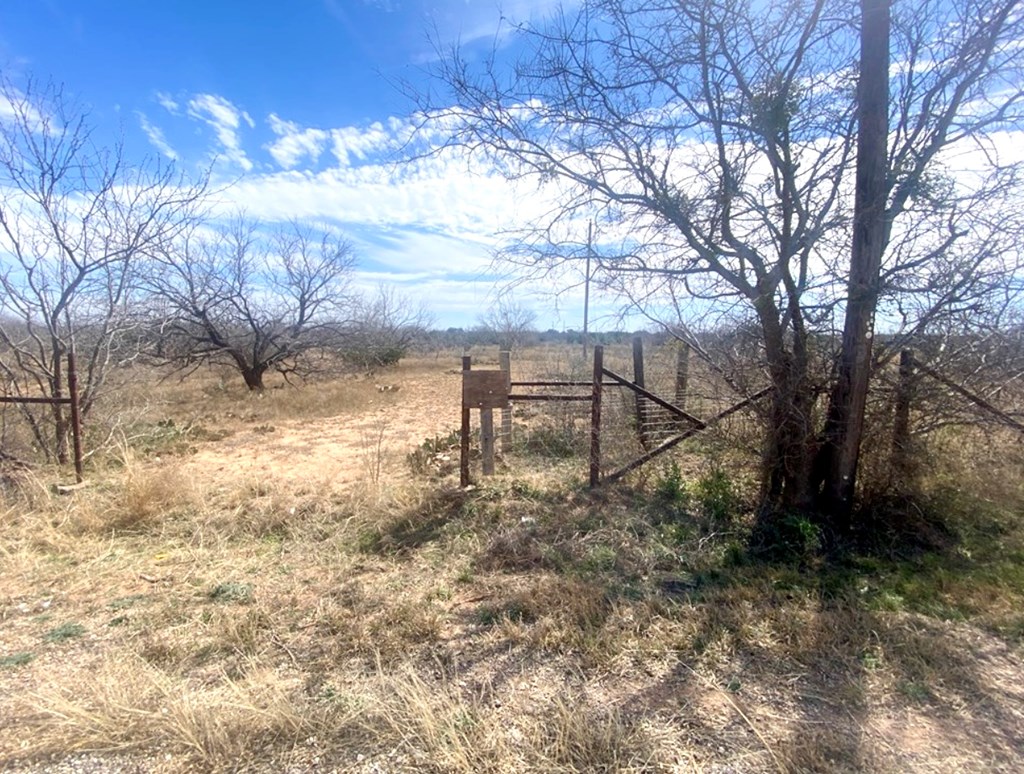 Swain Rd, San Angelo, Texas image 2