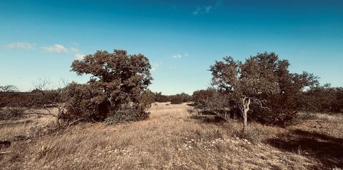 Vacant Land For Sale - 320 Turkey Run Road<br/> Eldorado, TX 76936