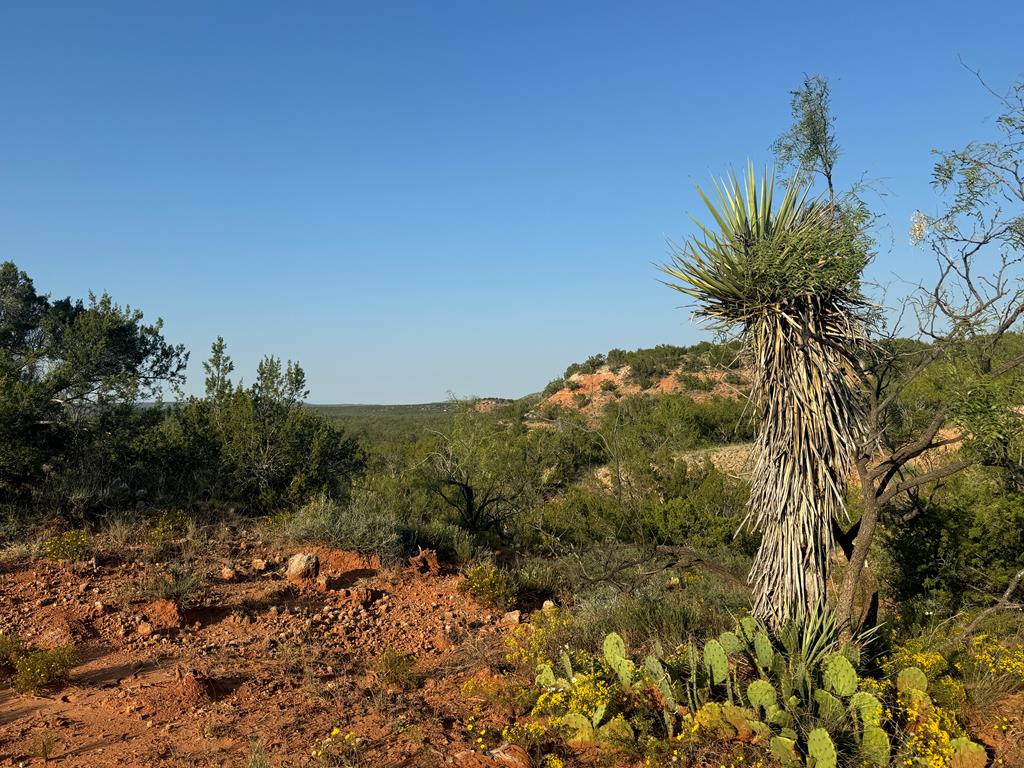 000 Hwy 208, Robert Lee, Texas image 4