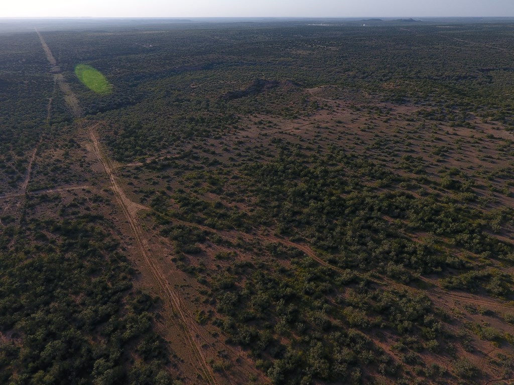 000 Hwy 208, Robert Lee, Texas image 8