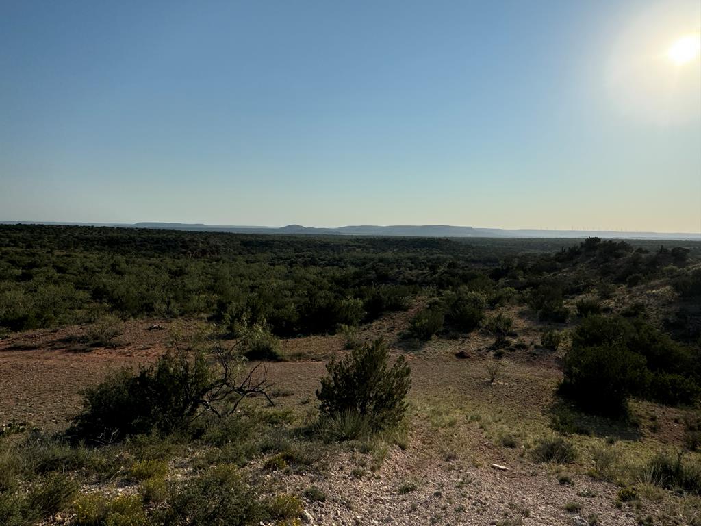 000 Hwy 208, Robert Lee, Texas image 18