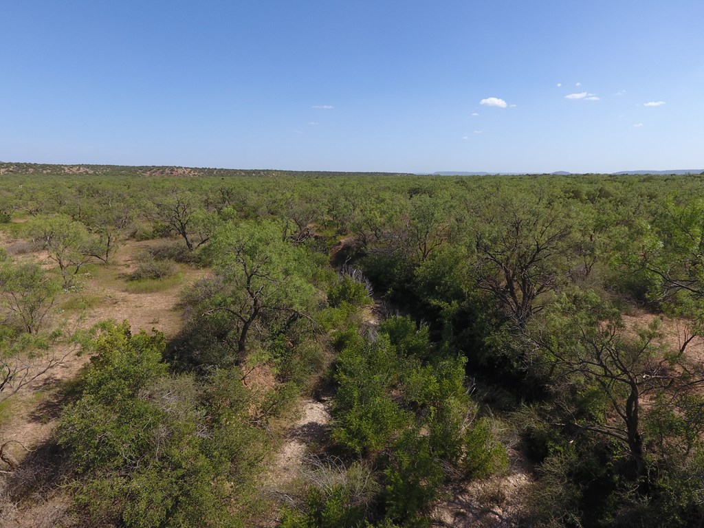 000 Hwy 208, Robert Lee, Texas image 16