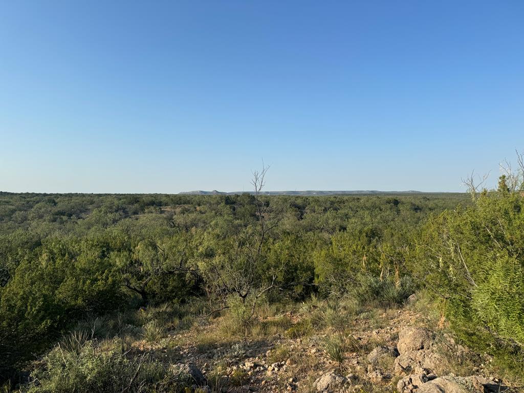 000 Hwy 208, Robert Lee, Texas image 9