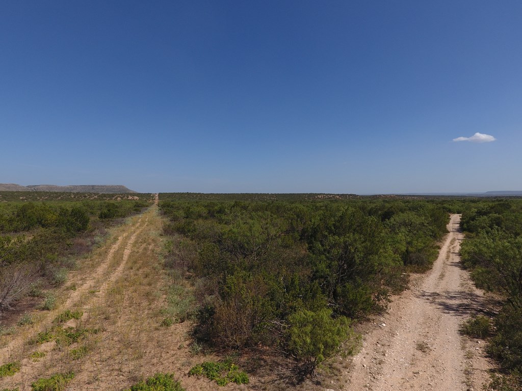 000 Hwy 208, Robert Lee, Texas image 27