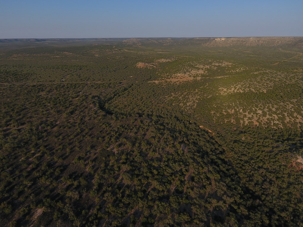 000 Hwy 208, Robert Lee, Texas image 11