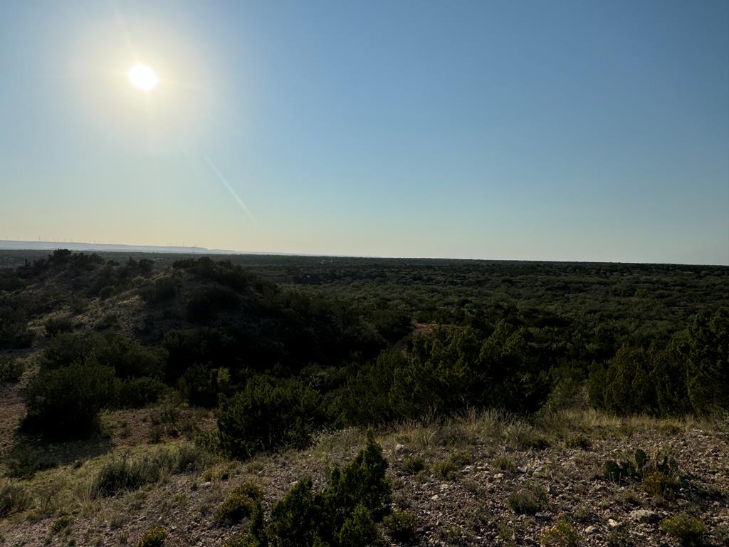 000 Hwy 208, Robert Lee, Texas image 19