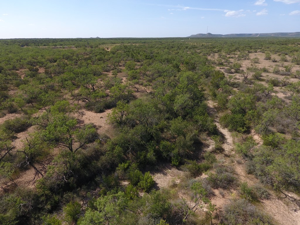 000 Hwy 208, Robert Lee, Texas image 30