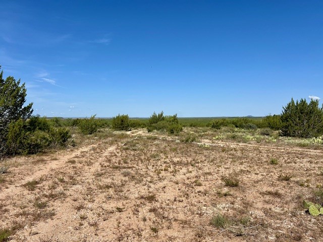 1500 County Rd 215, Wingate, Texas image 8