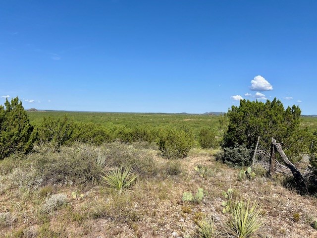 1500 County Rd 215, Wingate, Texas image 12