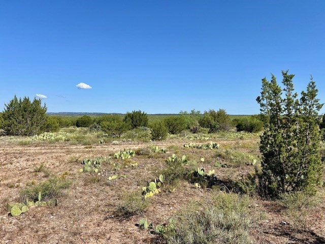 1500 County Rd 215, Wingate, Texas image 9