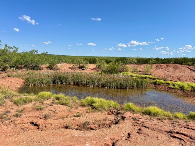 1500 County Rd 215, Wingate, Texas image 17