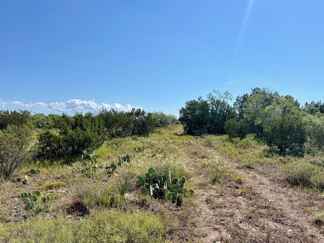 1500 County Rd 215, Wingate, Texas image 14