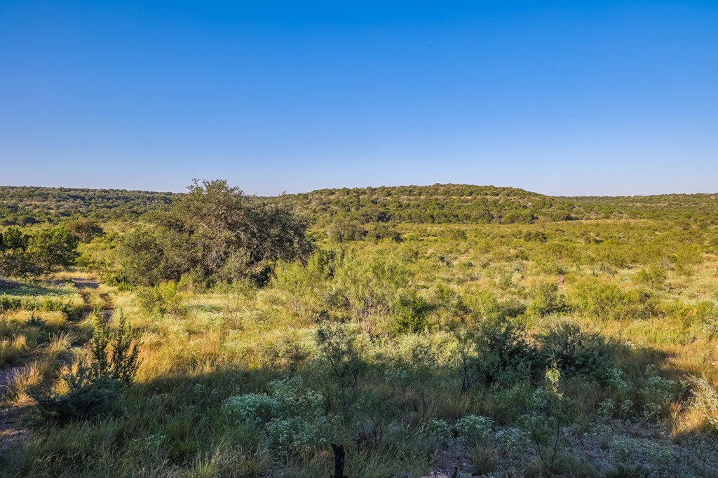 County Rd 106 #66  67, Ozona, Texas image 11