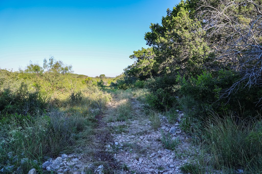 County Rd 106 #66  67, Ozona, Texas image 9