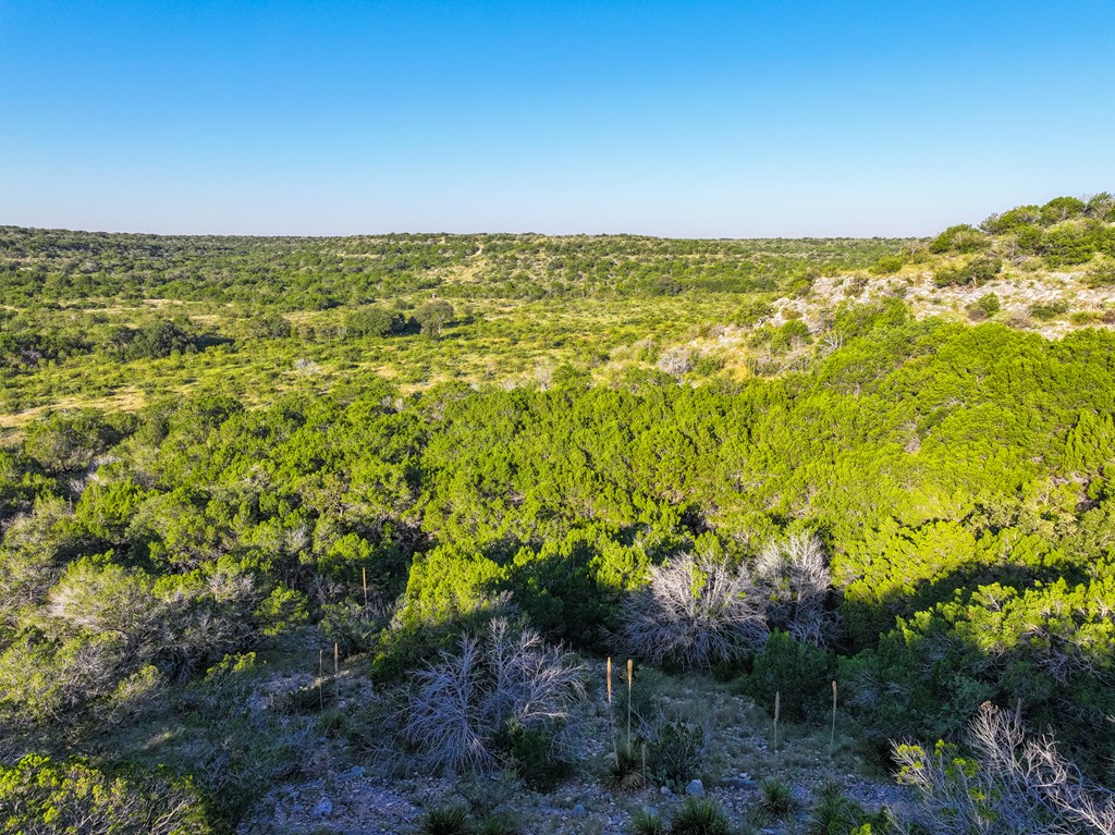 County Rd 106 #66  67, Ozona, Texas image 19