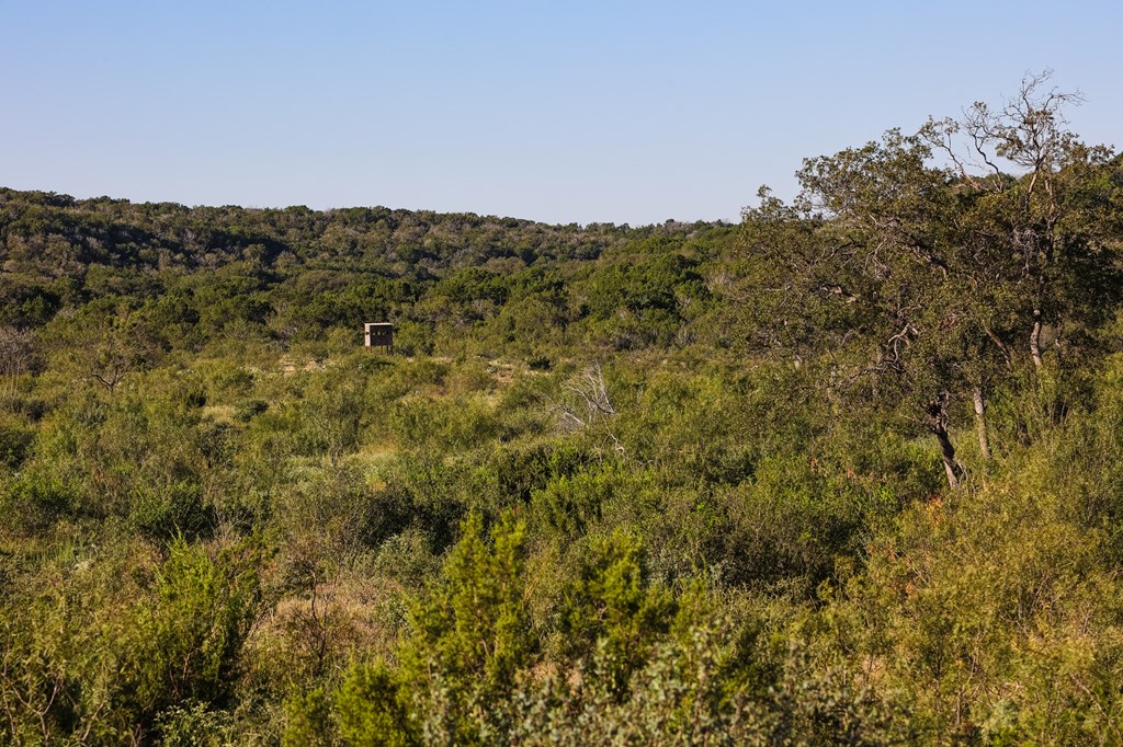 County Rd 106 #66  67, Ozona, Texas image 3