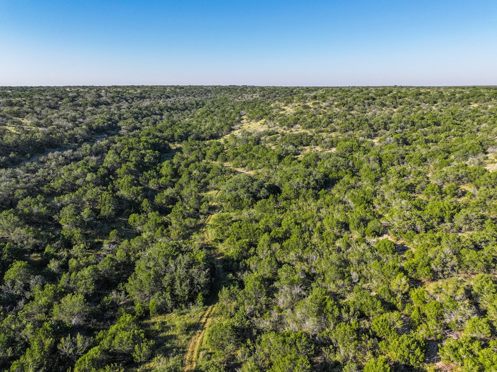 County Rd 106 #66  67, Ozona, Texas image 15