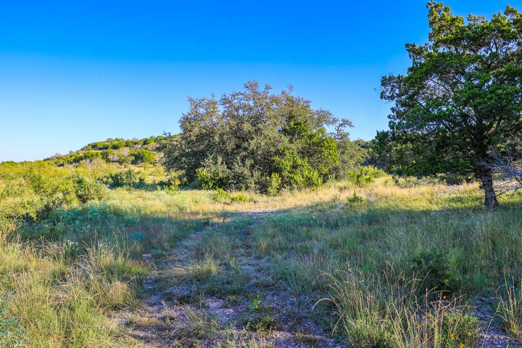 County Rd 106 #66  67, Ozona, Texas image 2