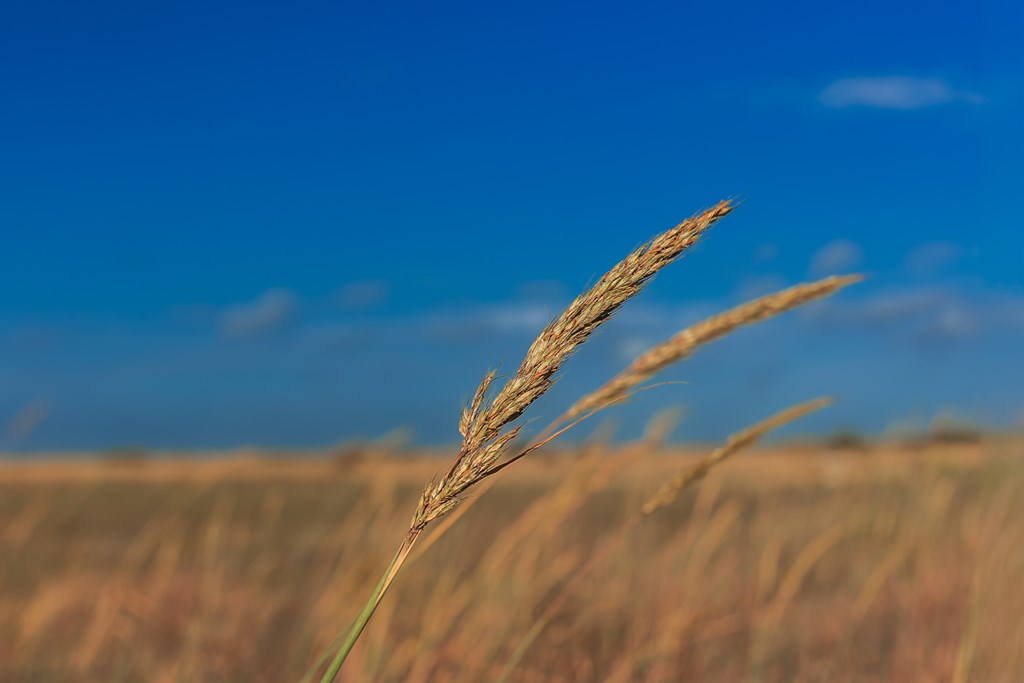 Land, Eden, Texas image 29