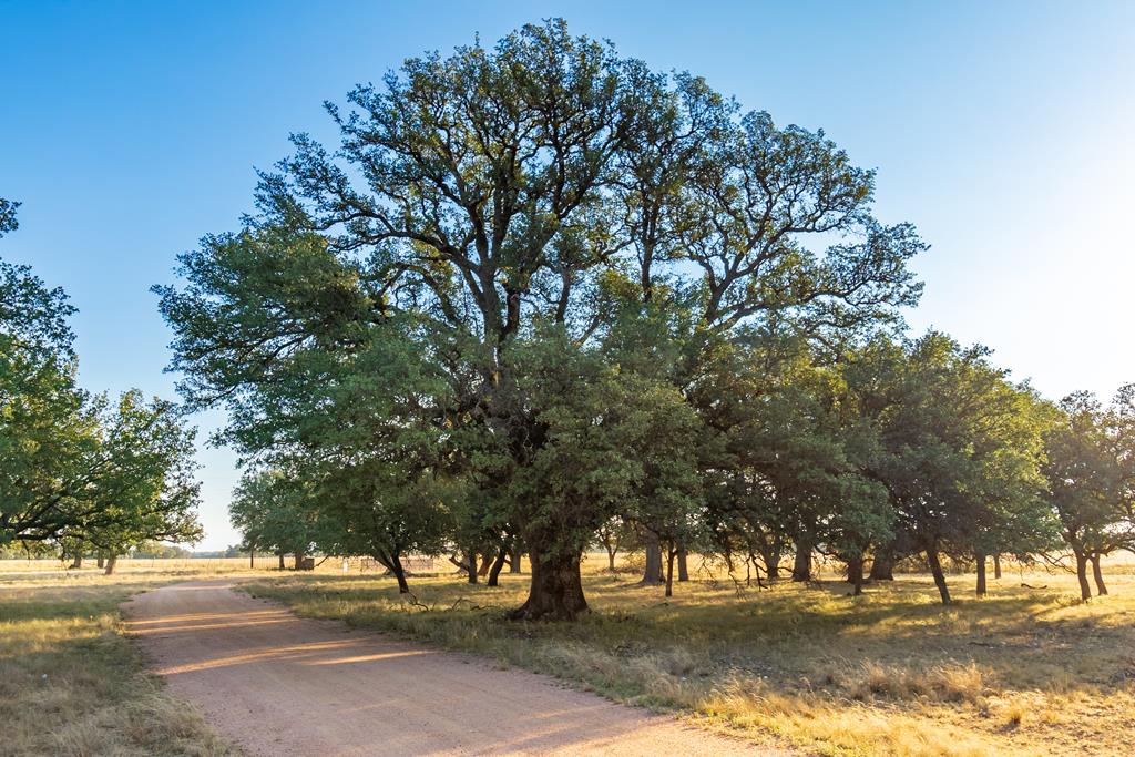 Land, Eden, Texas image 1