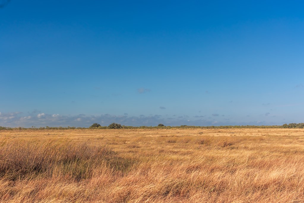 Land, Eden, Texas image 31