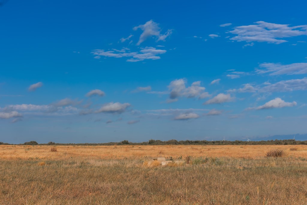 Land, Eden, Texas image 28