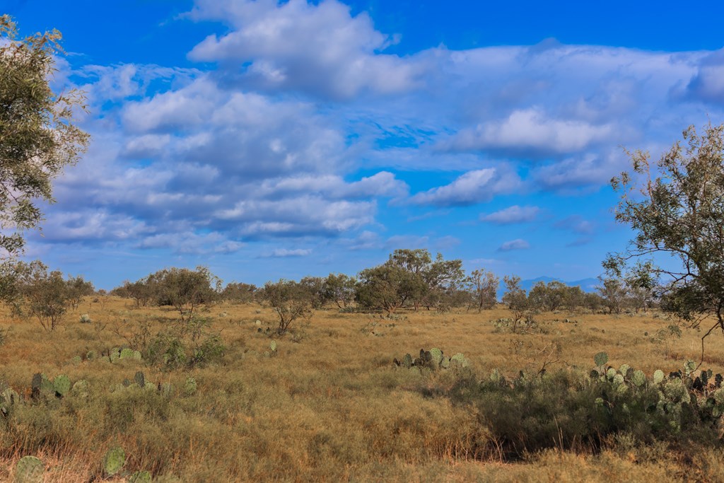 Land, Eden, Texas image 50