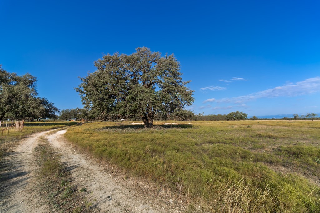 Land, Eden, Texas image 26