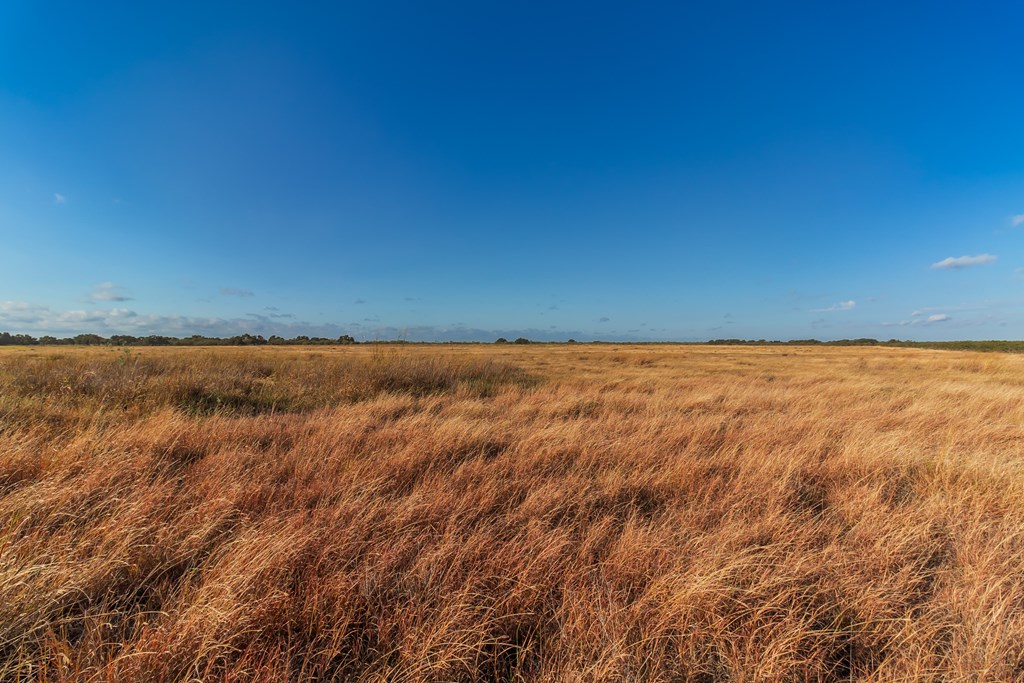 Land, Eden, Texas image 32