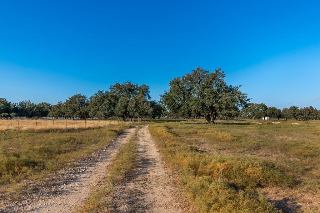 Land, Eden, Texas image 11