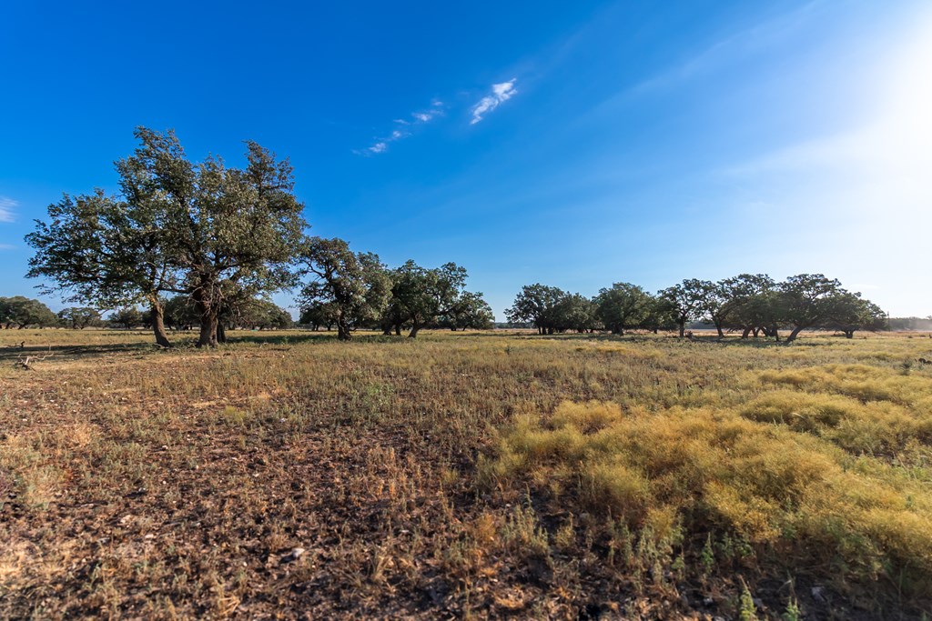 Land, Eden, Texas image 24