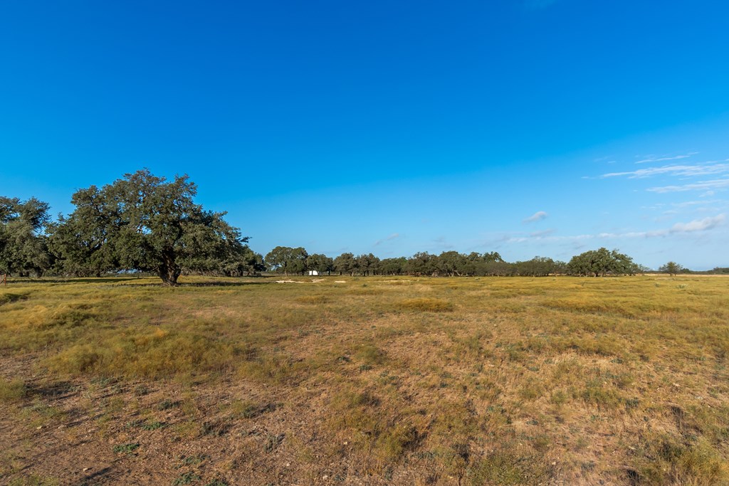 Land, Eden, Texas image 10