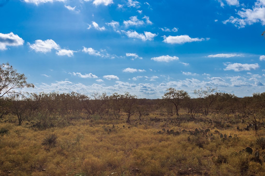 Land, Eden, Texas image 44