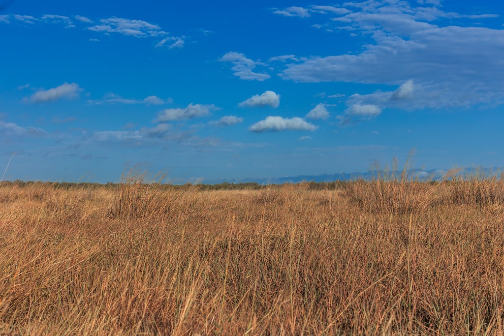 Land, Eden, Texas image 30