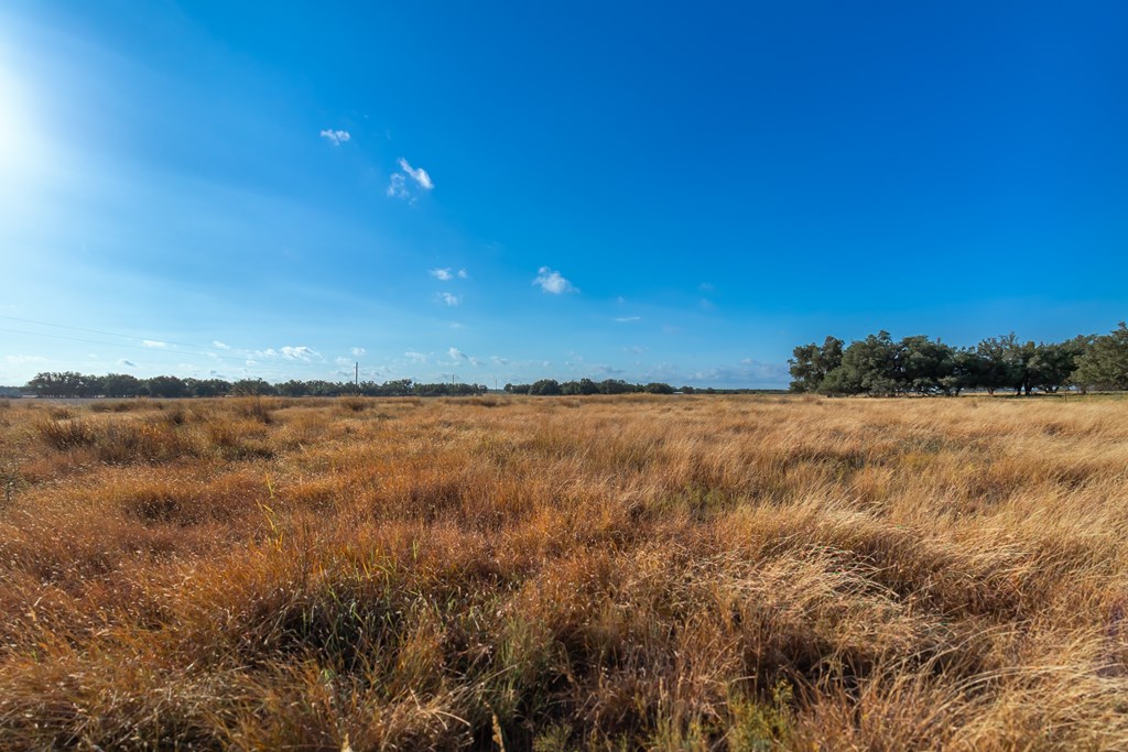 Land, Eden, Texas image 25