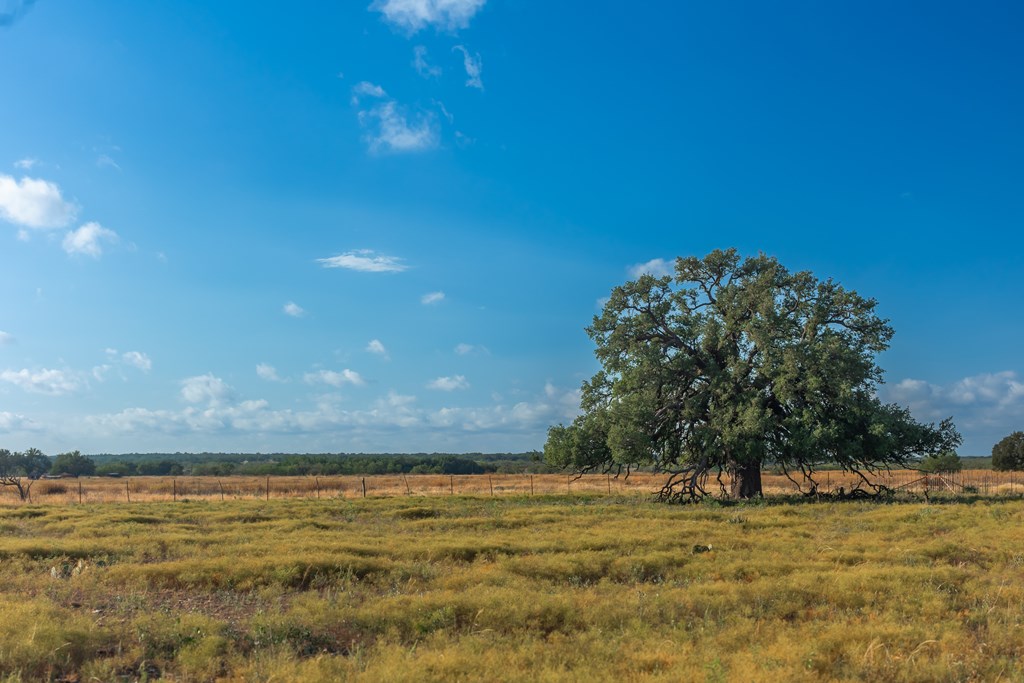 Land, Eden, Texas image 22