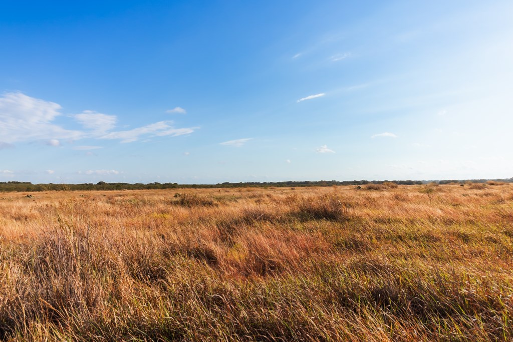 Land, Eden, Texas image 34