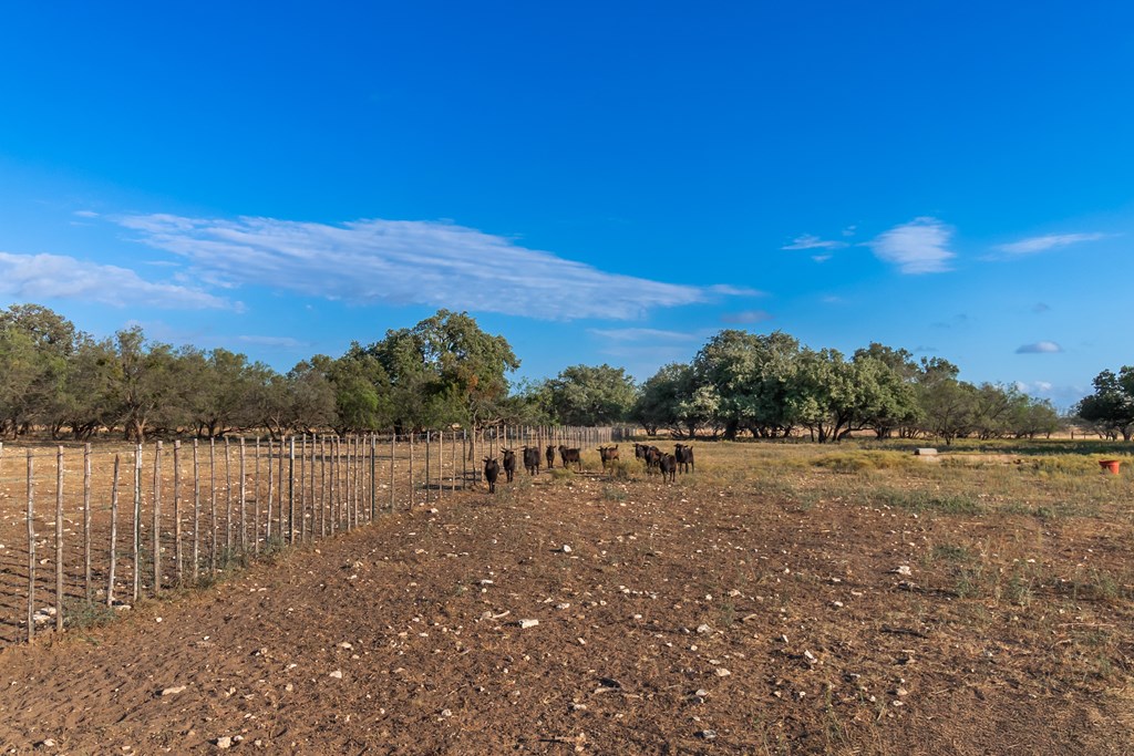 Land, Eden, Texas image 18