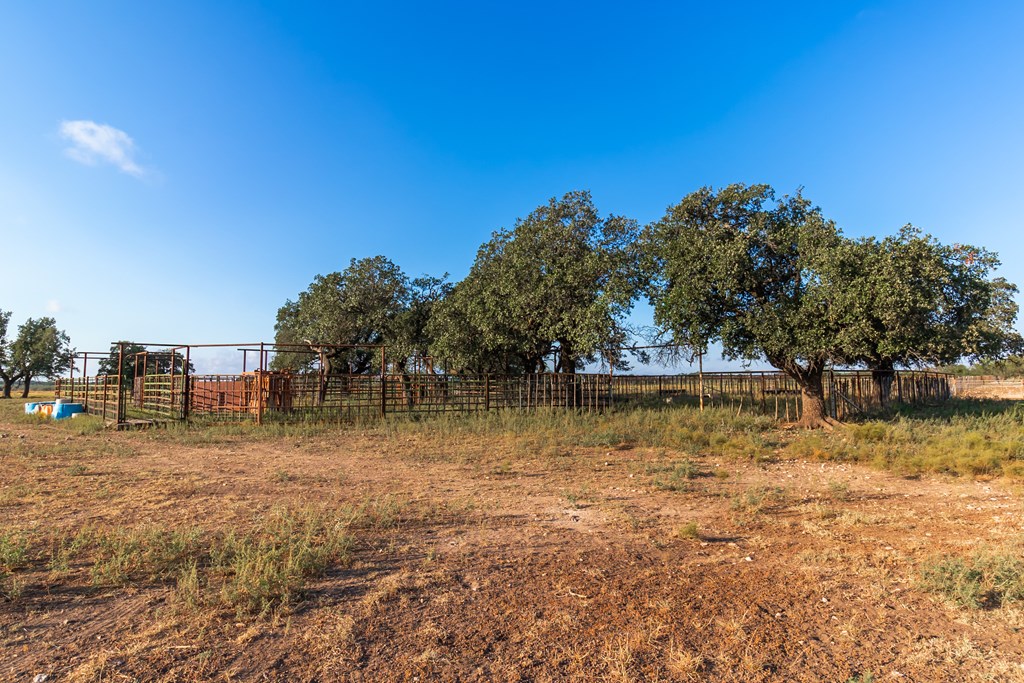 Land, Eden, Texas image 14