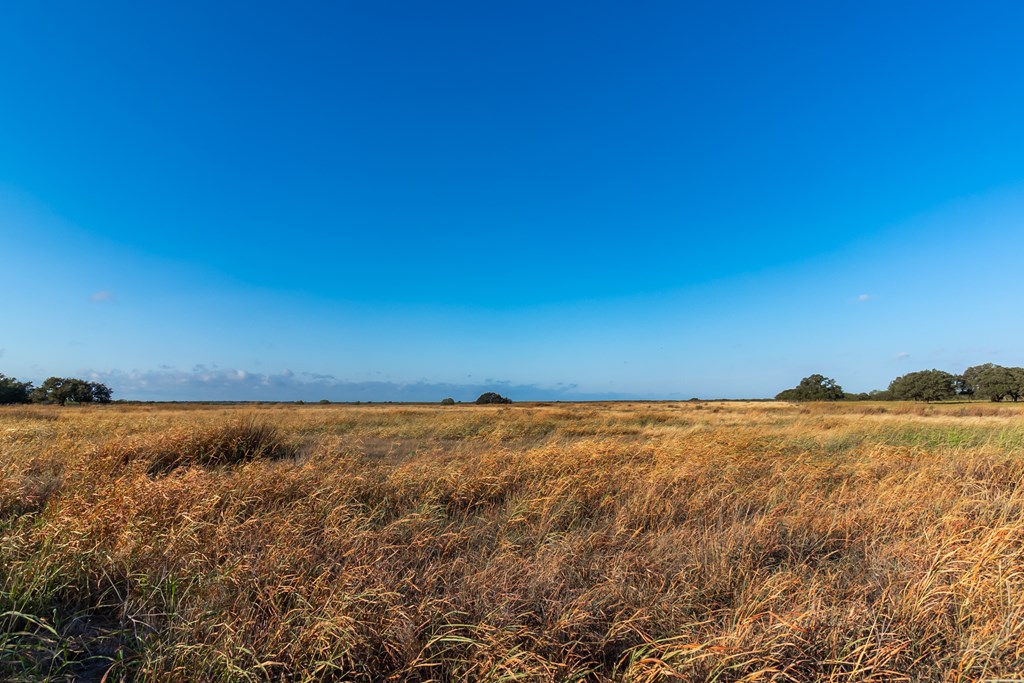 Land, Eden, Texas image 9