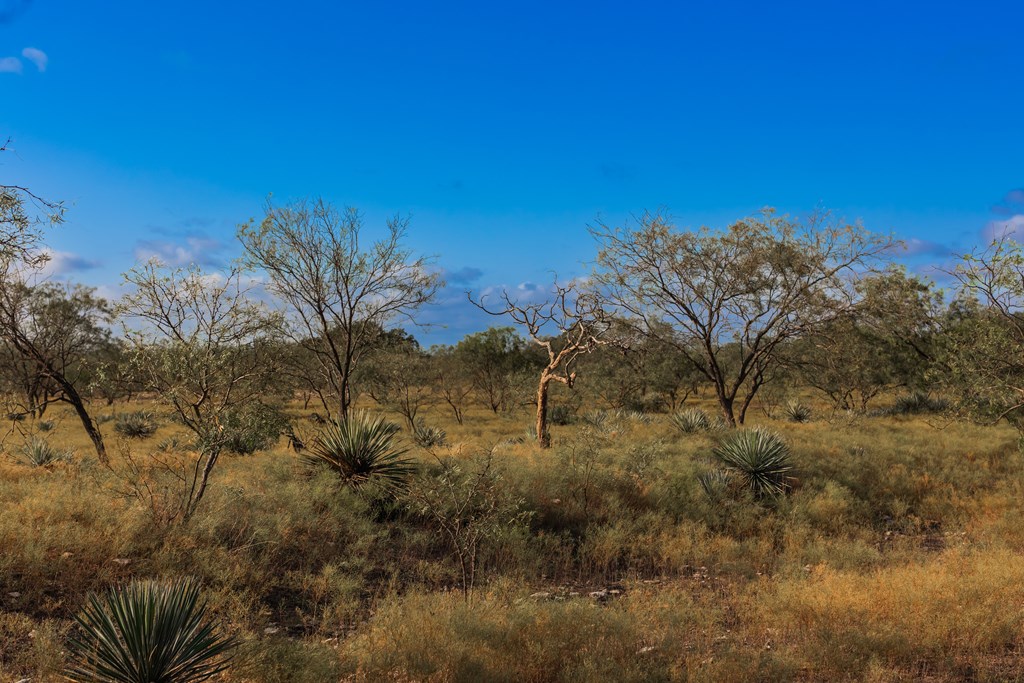 Land, Eden, Texas image 49