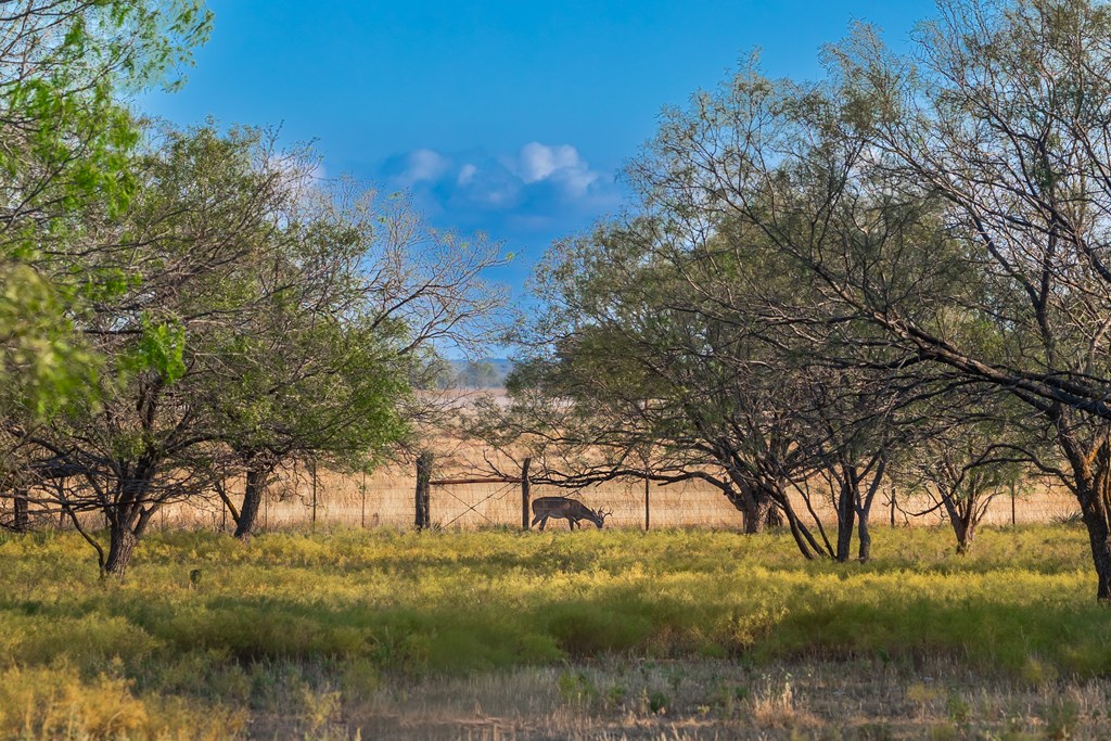 Land, Eden, Texas image 20