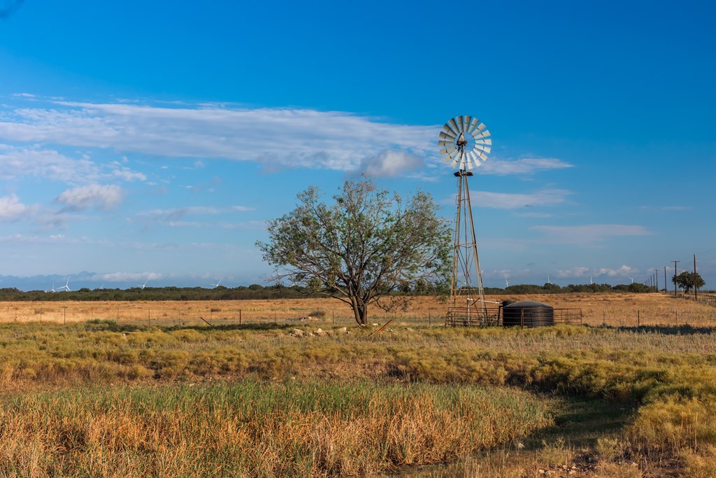 Land, Eden, Texas image 13