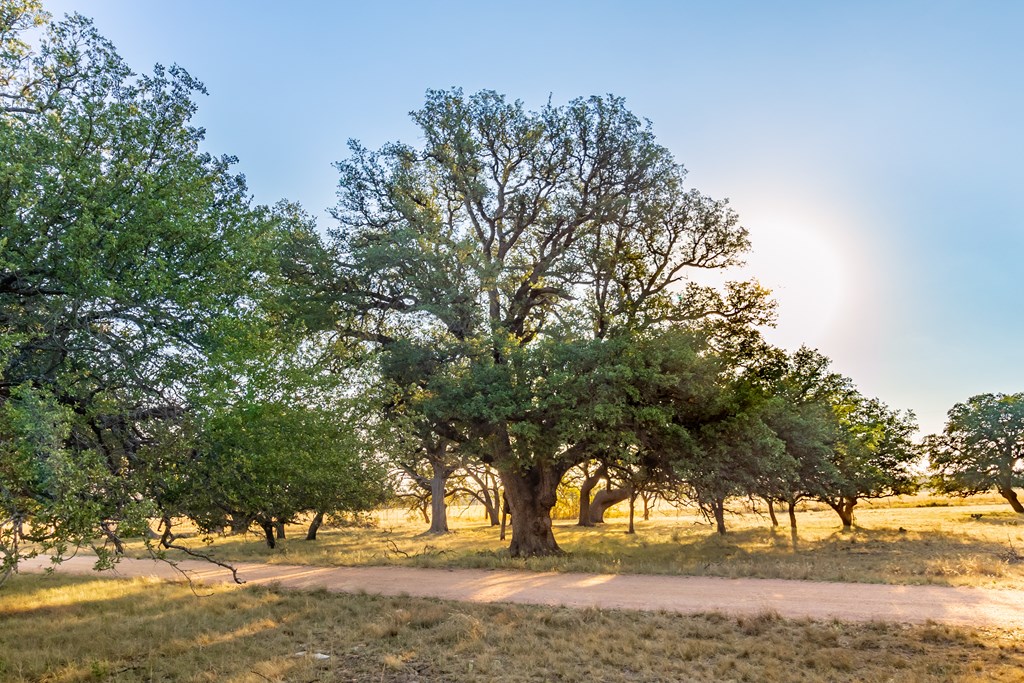 Land, Eden, Texas image 2