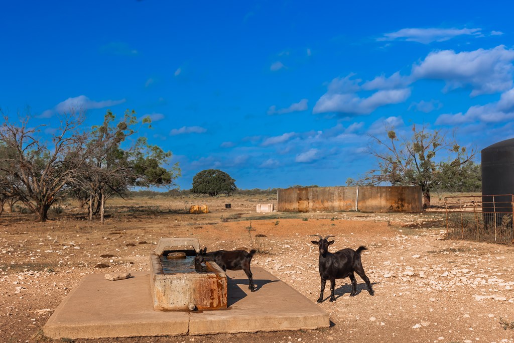 Land, Eden, Texas image 39