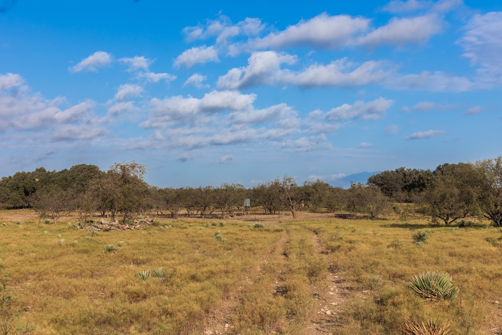 Land, Eden, Texas image 35